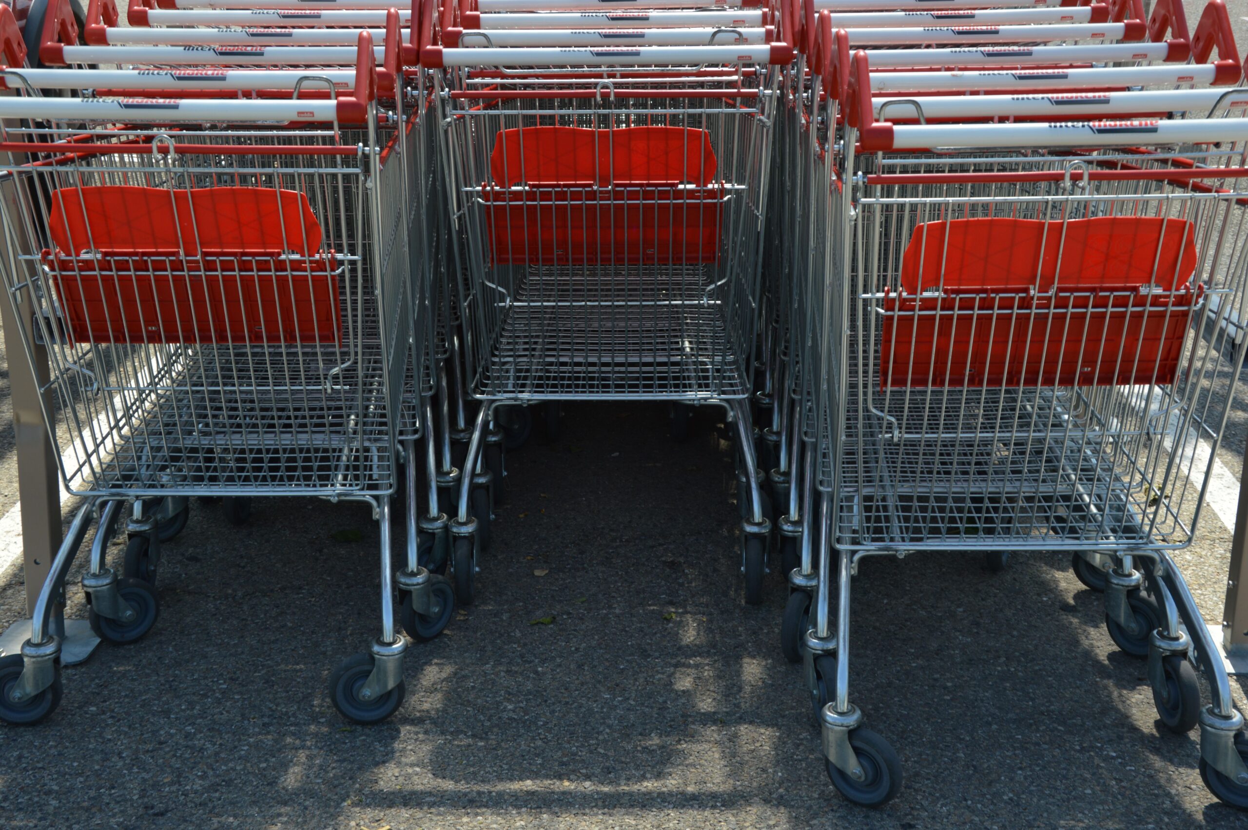 Neatly arranged shopping carts lined up in an outdoor parking lot.